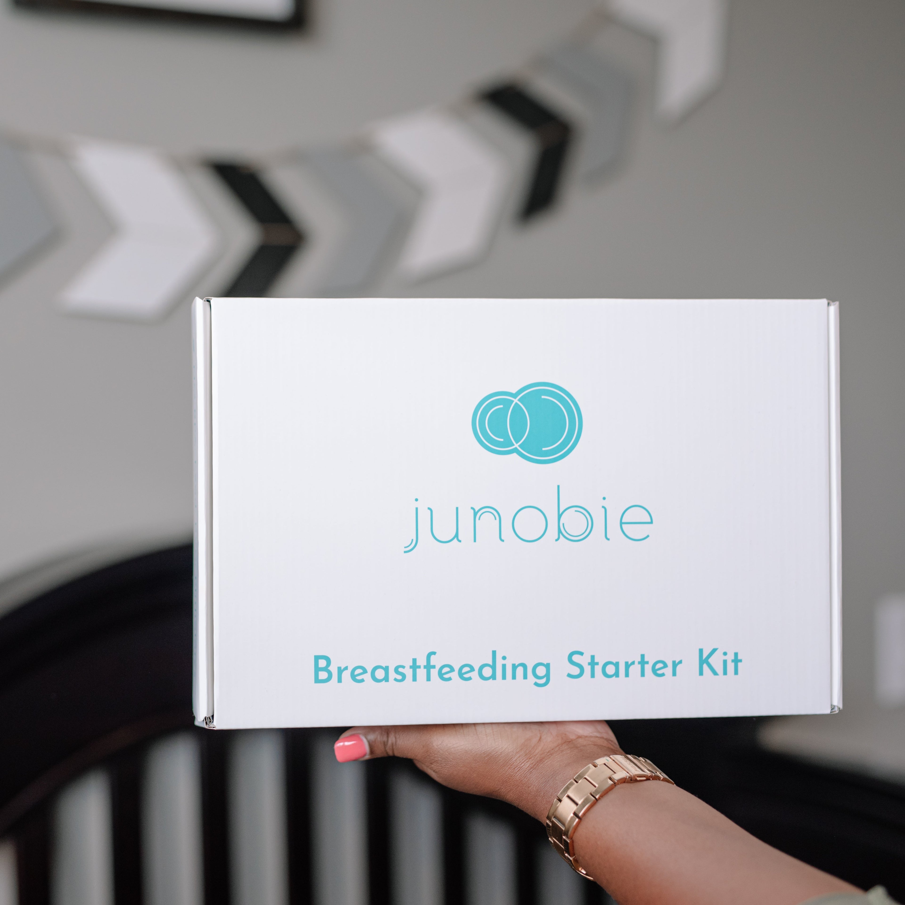 Junobie Reusable Milk & Snack Storage Bags — 9-Pack Starter Kit